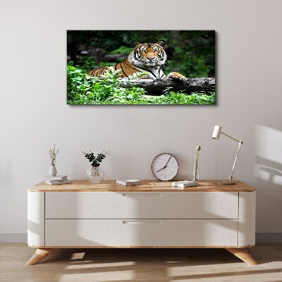 Tiger in the green forest Canvas wall art