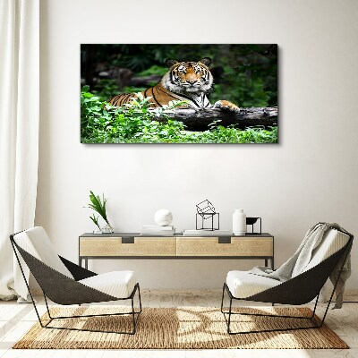 Tiger in the green forest Canvas wall art