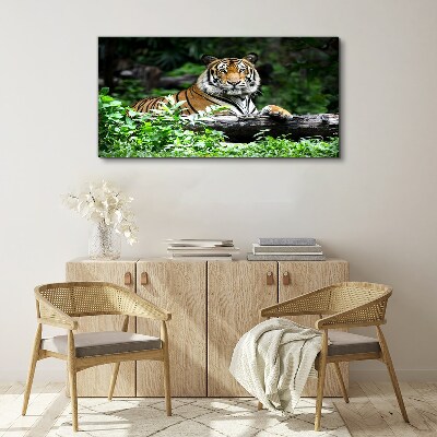 Tiger in the green forest Canvas wall art