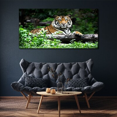 Tiger in the green forest Canvas wall art