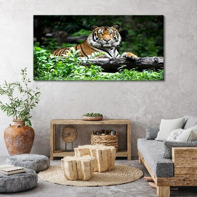 Tiger in the green forest Canvas wall art