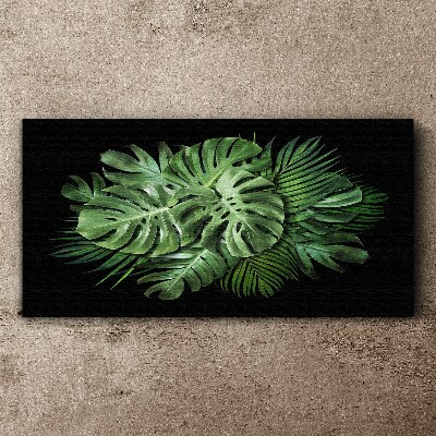 Tropical green on black background Print on canvas