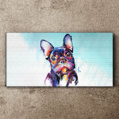 Colorful portrait of a French bulldog Print on canvas