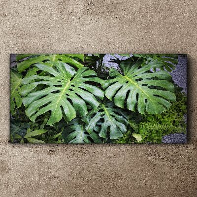 Botanical plants leaves Canvas Wall art