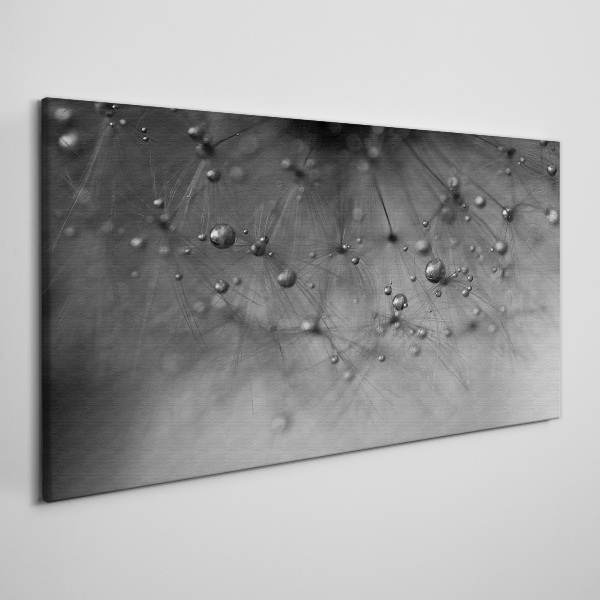 Water abstraction dandelion Canvas Wall art