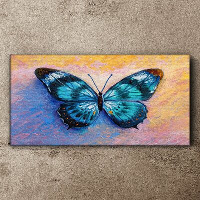 Insect butterfly color Canvas Wall art