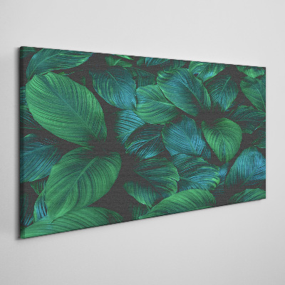 Flower leaves plant Canvas Wall art