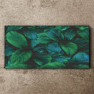 Flower leaves plant Canvas Wall art