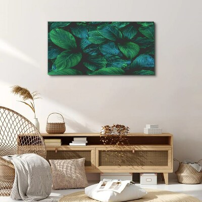 Flower leaves plant Canvas Wall art