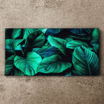 Green tropical leaves Print on canvas