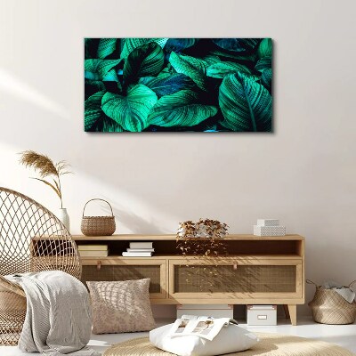 Green tropical leaves Print on canvas