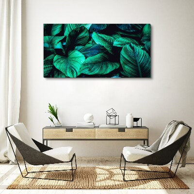 Green tropical leaves Print on canvas
