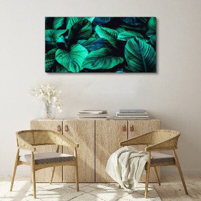 Green tropical leaves Print on canvas