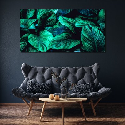 Green tropical leaves Print on canvas