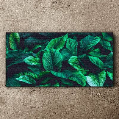 Green Symphony of Leaves Print on canvas