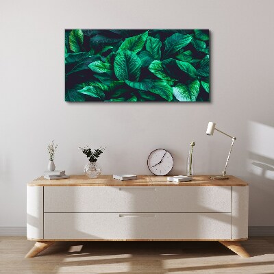 Green Symphony of Leaves Print on canvas