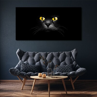 Golden eyes of a cat in shadow Print on canvas