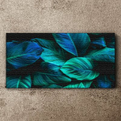 Green leaves in deep shade Canvas wall art