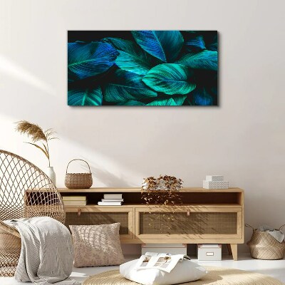 Green leaves in deep shade Canvas wall art