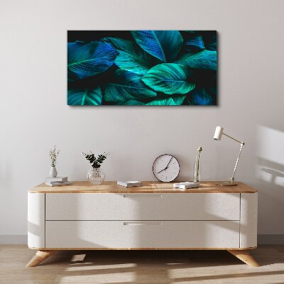 Green leaves in deep shade Canvas wall art