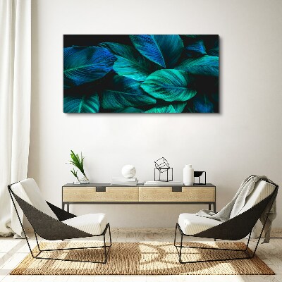 Green leaves in deep shade Canvas wall art