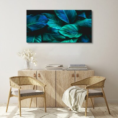 Green leaves in deep shade Canvas wall art