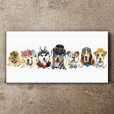 Dogs in fashionable accessories Print on canvas
