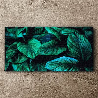 Green tropical leaves Print on canvas