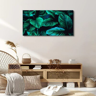 Green tropical leaves Print on canvas