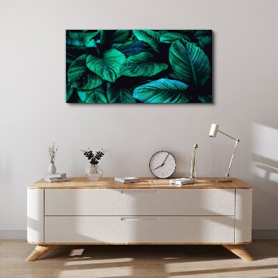 Green tropical leaves Print on canvas
