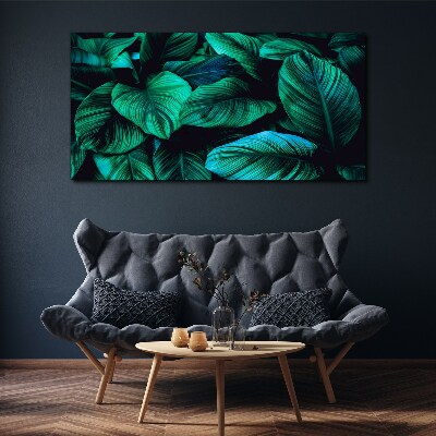 Green tropical leaves Print on canvas