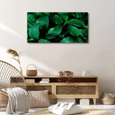 Flower leaves plant Canvas Wall art