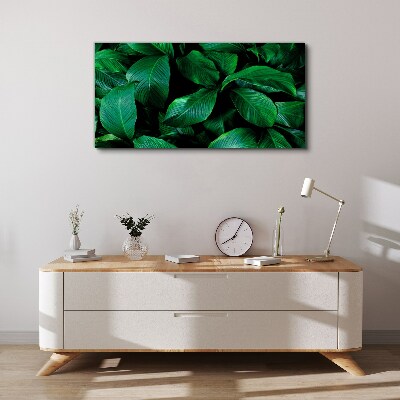 Green Symphony of Leaves Canvas wall art