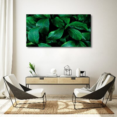 Flower leaves plant Canvas Wall art