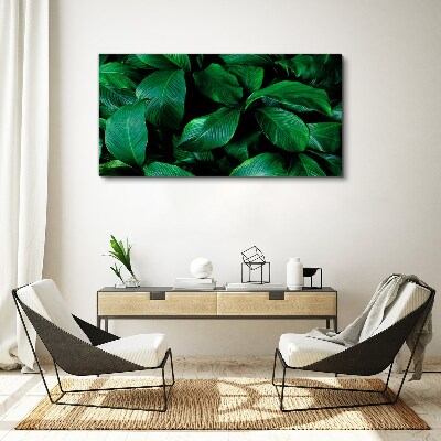 Green Symphony of Leaves Canvas wall art