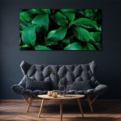 Green Symphony of Leaves Canvas wall art
