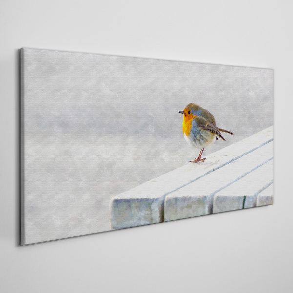 Robin on a white board Print on canvas