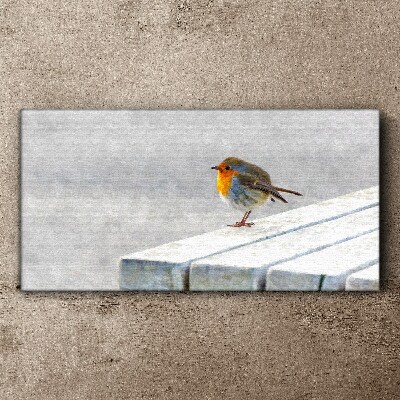 Robin on a white board Print on canvas