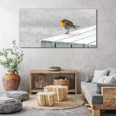 Robin on a white board Print on canvas