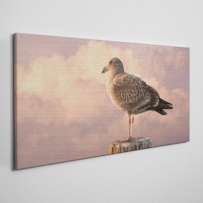 Animal bird seagull sky Canvas Wall art