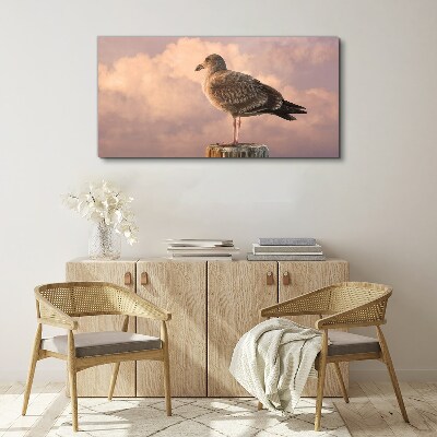 Animal bird seagull sky Canvas Wall art
