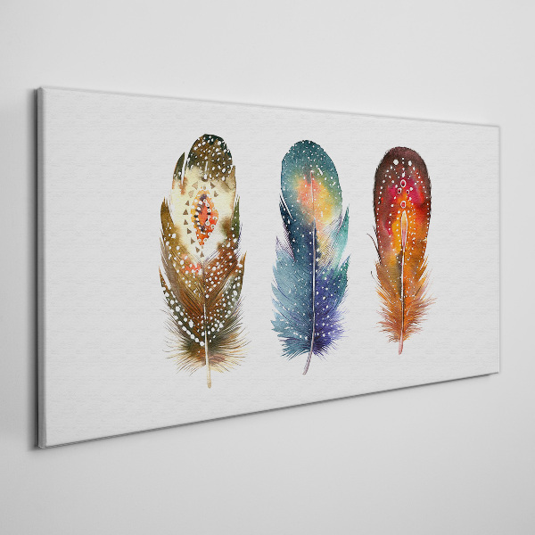 Colorful Feathers Print on canvas