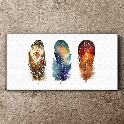 Colorful Feathers Print on canvas