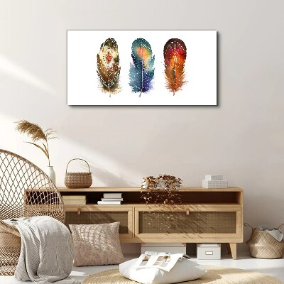 Colorful Feathers Print on canvas