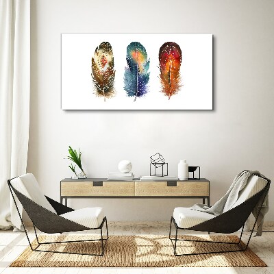 Colorful Feathers Print on canvas