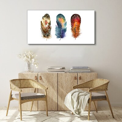 Colorful Feathers Print on canvas