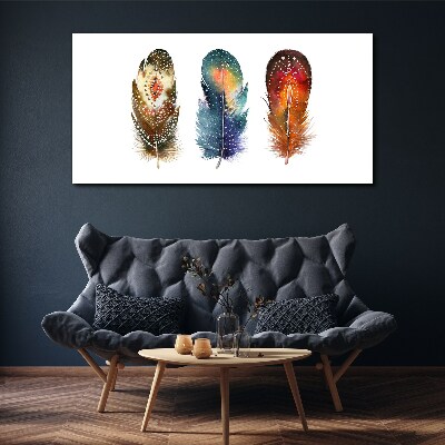 Colorful Feathers Print on canvas