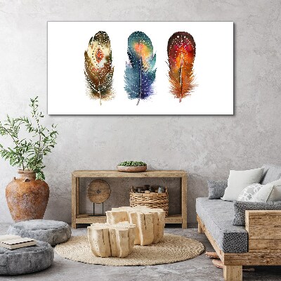 Colorful Feathers Print on canvas