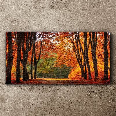 Autumn tree alley Print on canvas