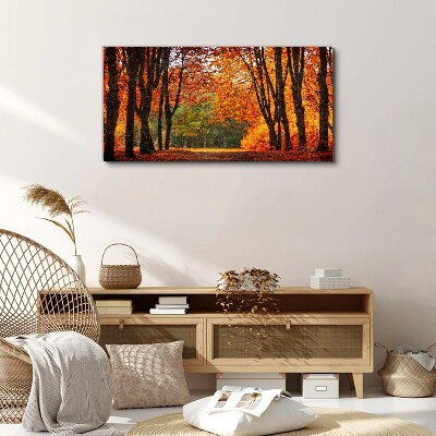Autumn tree alley Print on canvas
